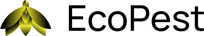 zamferrozzada.com